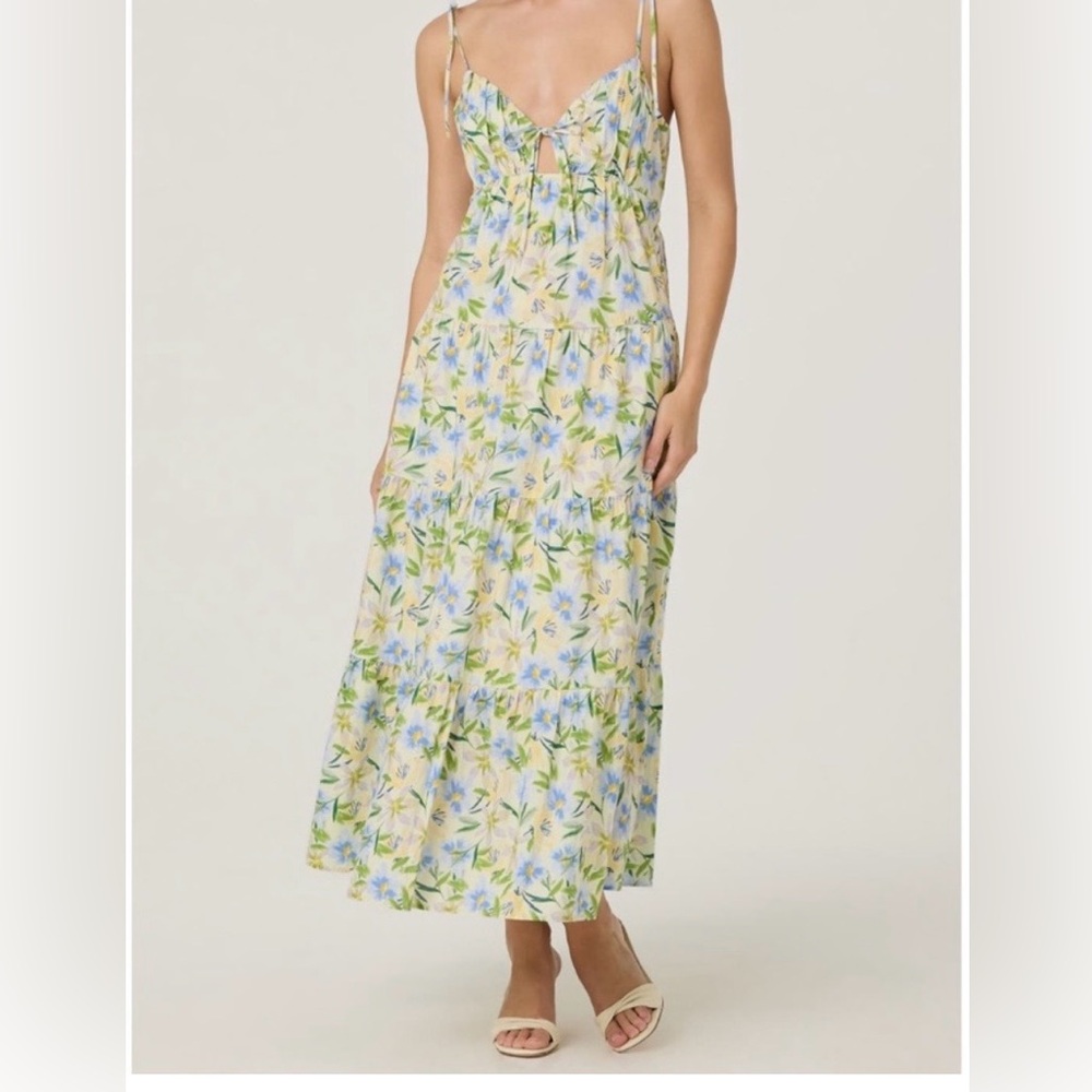 Astr Floral Midi Dress in Blue and Green